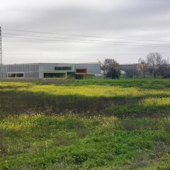 AF6-L04_OLAVIDE02-1