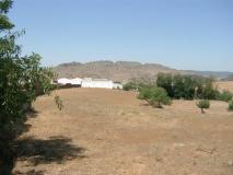AF6-L12-ZAFRA03